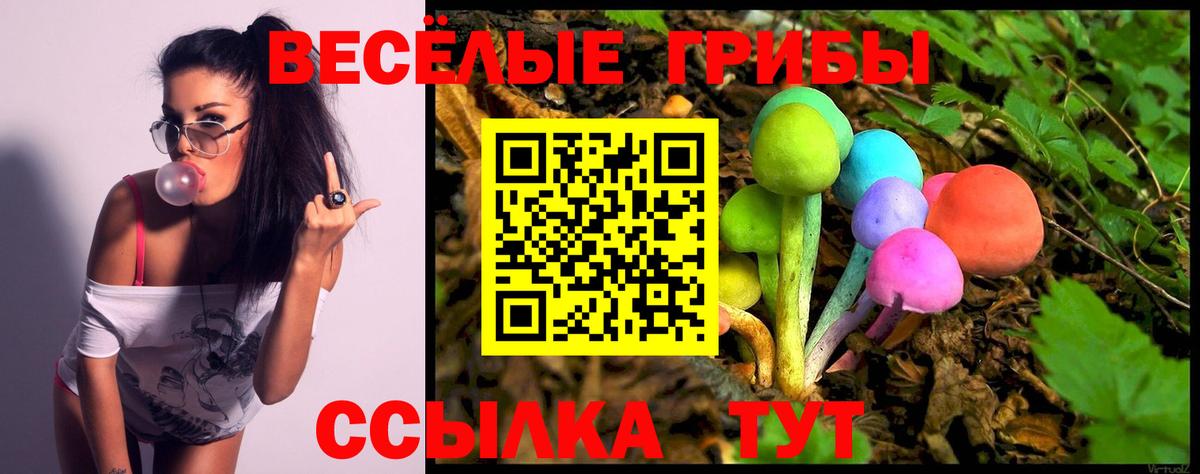 Псилоцибиновые грибы Magic Shrooms Белая Калитва
